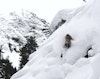 Pillow skiing 101, presented by John Spriggs, Sammy Carlson in "Revelstoked"