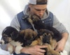 Gus Kenworthy has been reunited with his puppies; see the "Today" interview