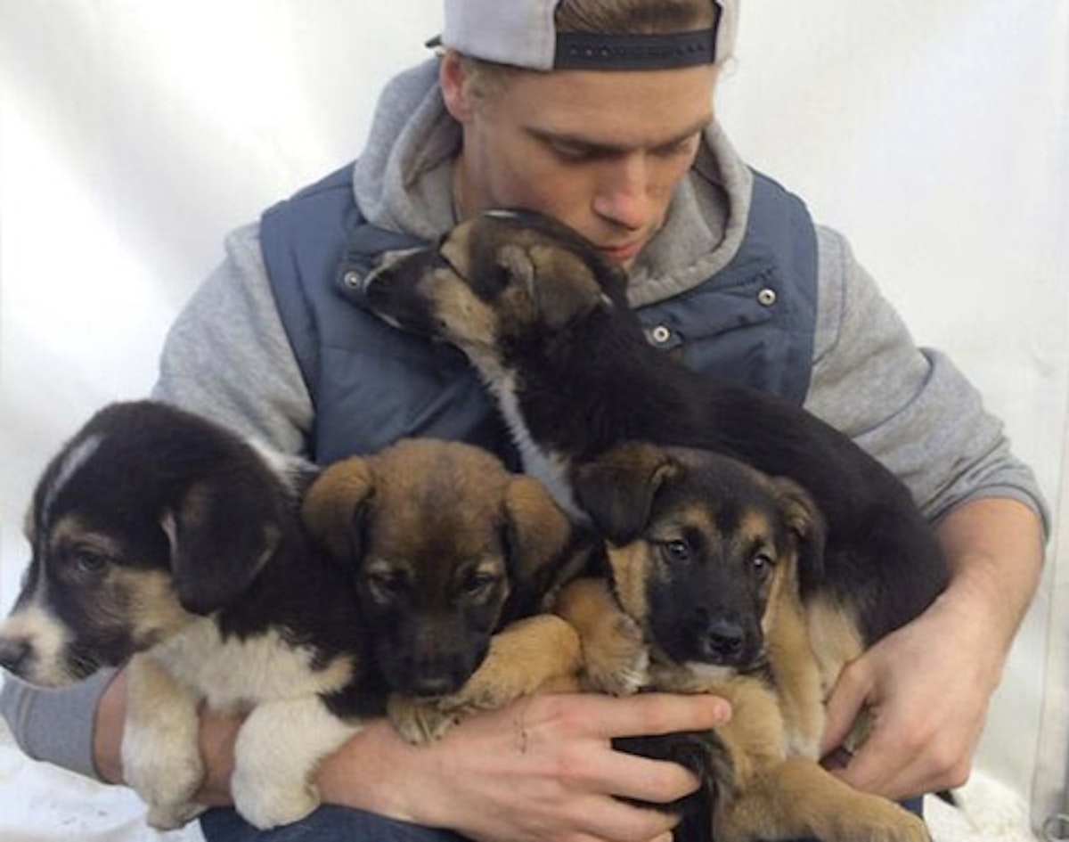 Gus Kenworthy has been reunited with his puppies; see the "Today" interview