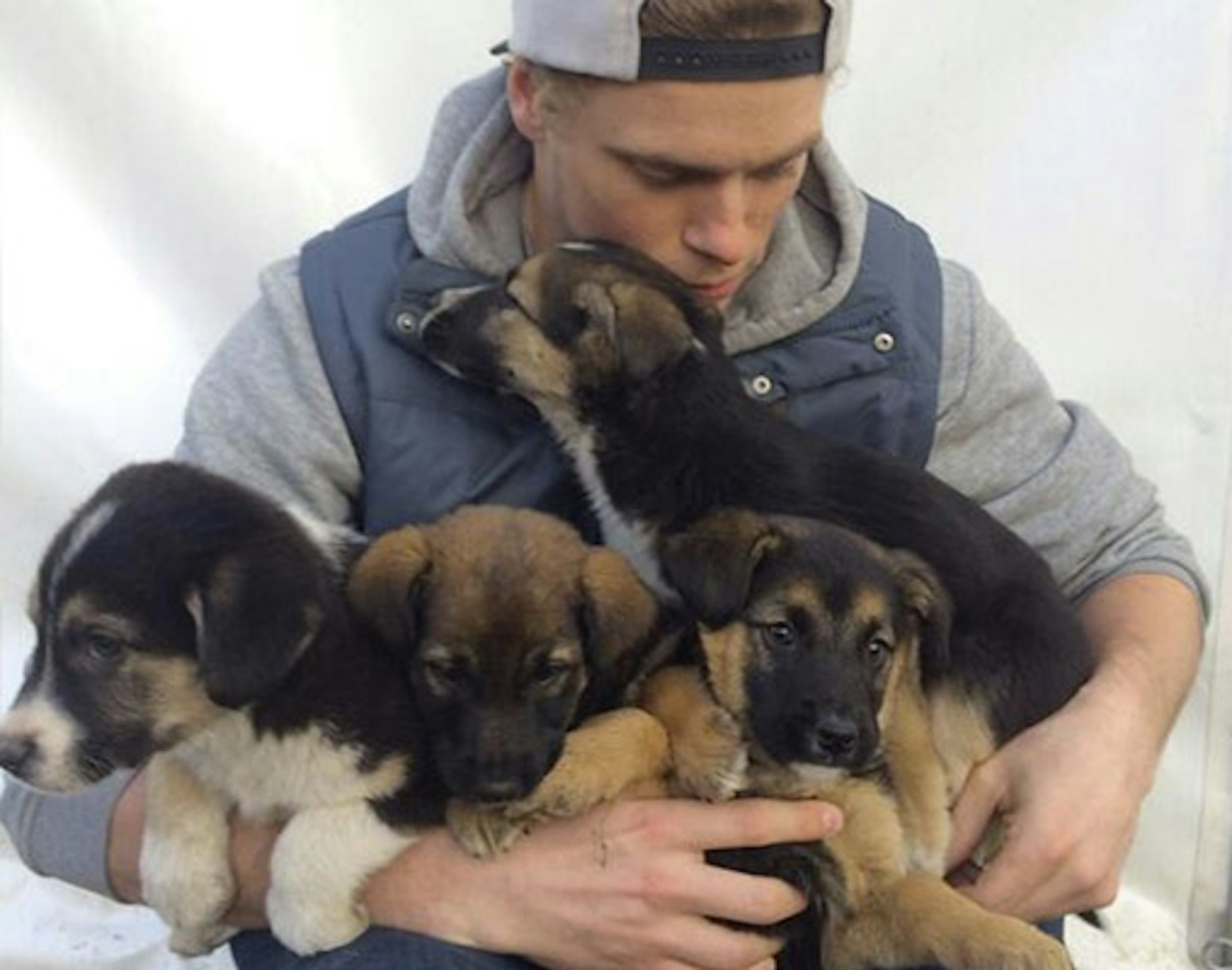 Gus Kenworthy has been reunited with his puppies; see the "Today" interview