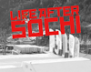 In Review: A look at life after Sochi for Olympic bronze medalist Nick Goepper