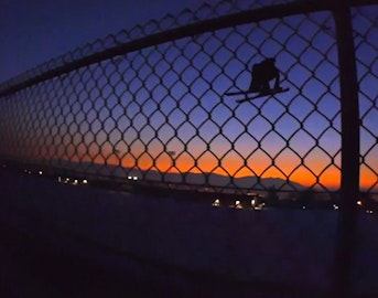 Video: The Brothers Brower get creative in and around SLC