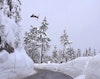 Skier under-rotates backflip over Baker road gap, fantastic faceplant ensues