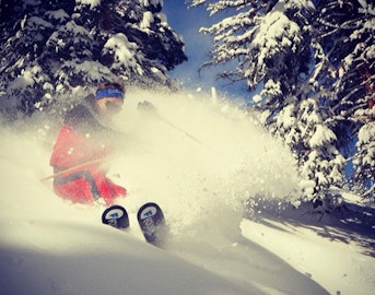 #FreeskierFest hashtag is ruling Instagram right now; enjoy this roundup