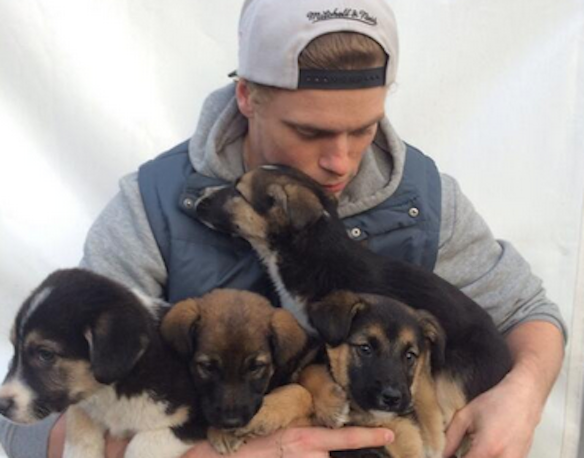 Gus Kenworthy is on a mission to save the puppies of Sochi