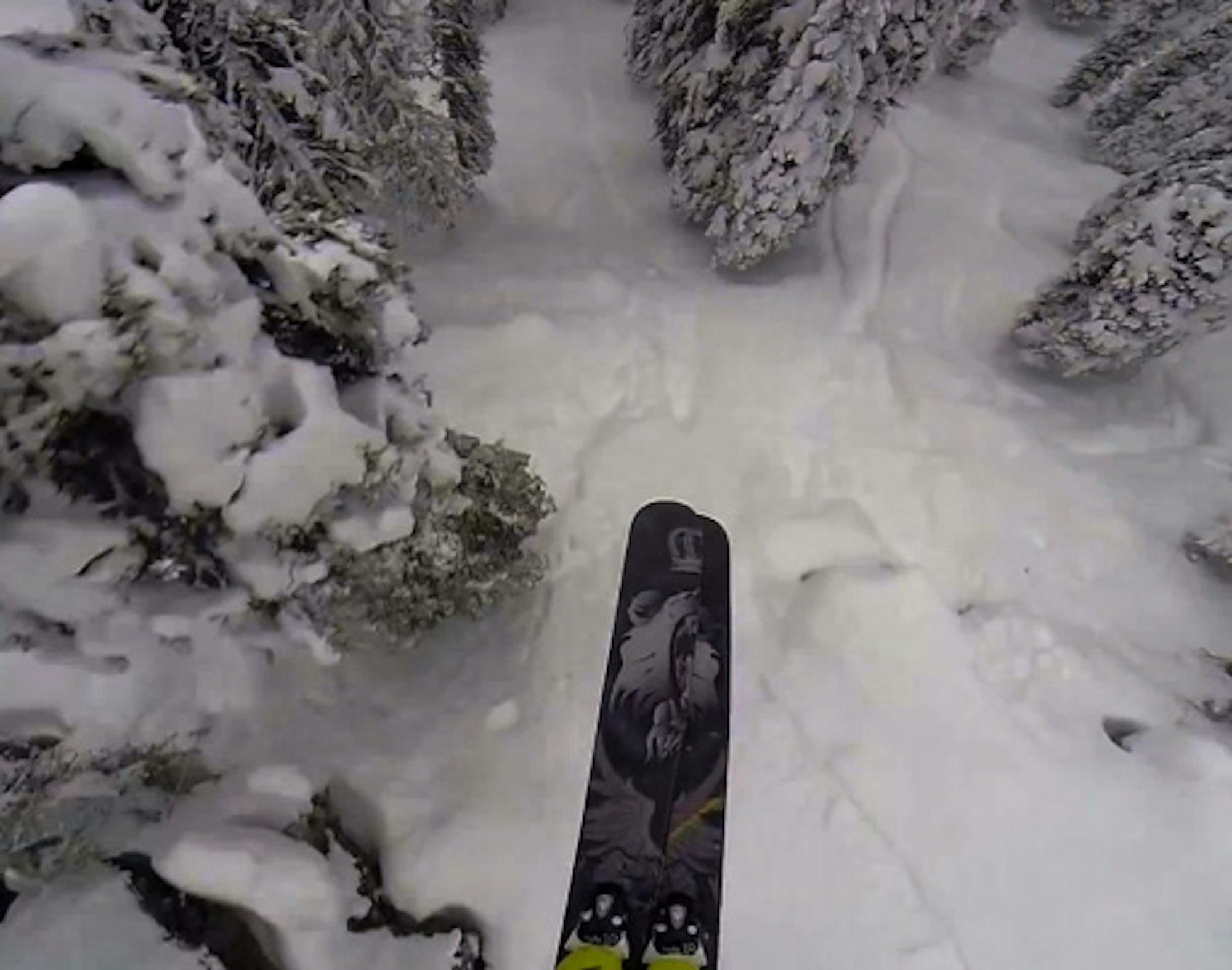 Here's proof that Tanner Hall is crushing pow in British Columbia