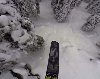 Here's proof that Tanner Hall is crushing pow in British Columbia