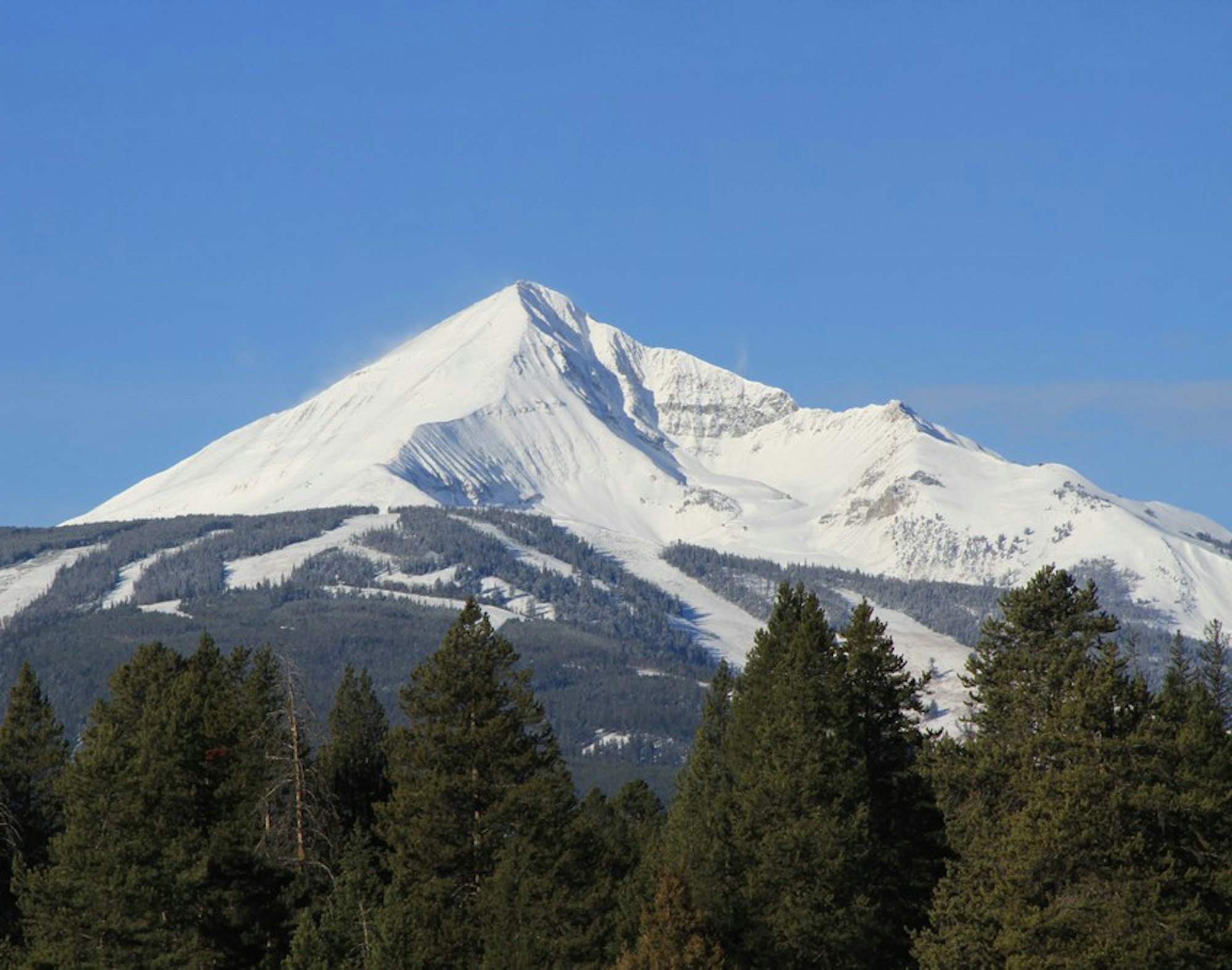 Eighth annual Big Sky Big Grass Festival set to kick off February 7