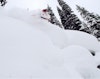 Dave Treadway and Henrik Windstedt venture deep into BC in "Let's Go Get Small"