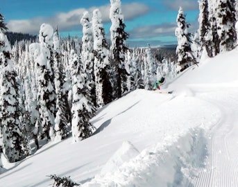 Skier fails miserably while attempting first double backflip