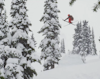 Joe Schuster takes flight in 2012/13 season edit
