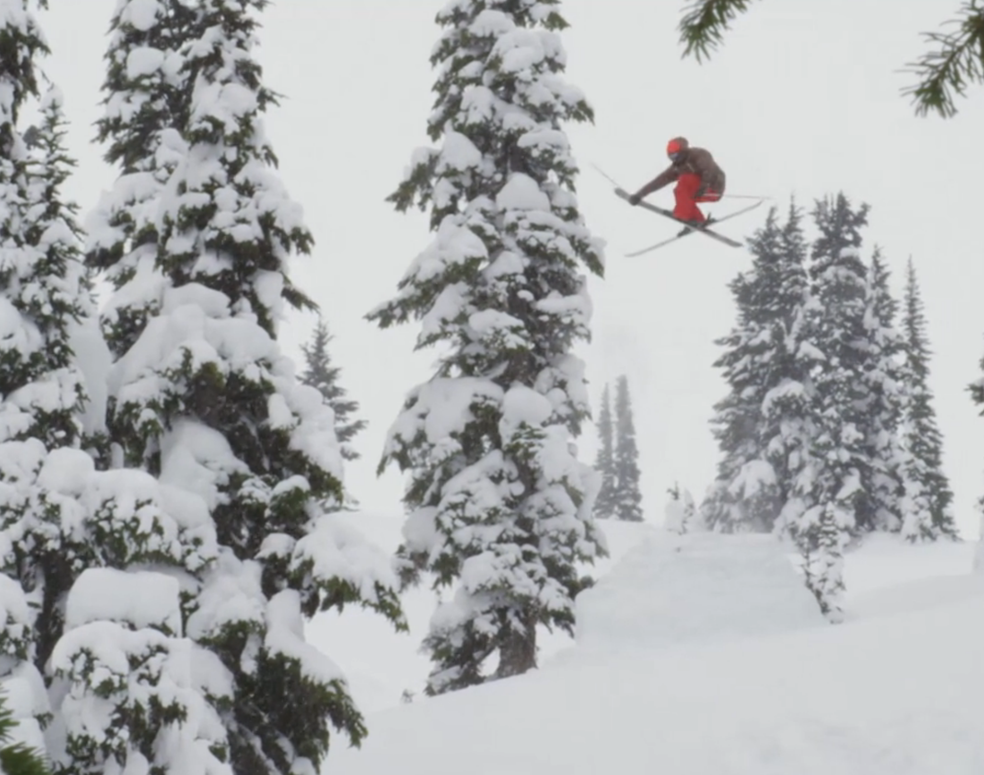 Joe Schuster takes flight in 2012/13 season edit