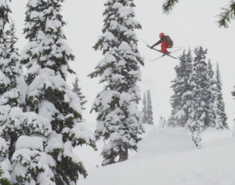 Joe Schuster takes flight in 2012/13 season edit