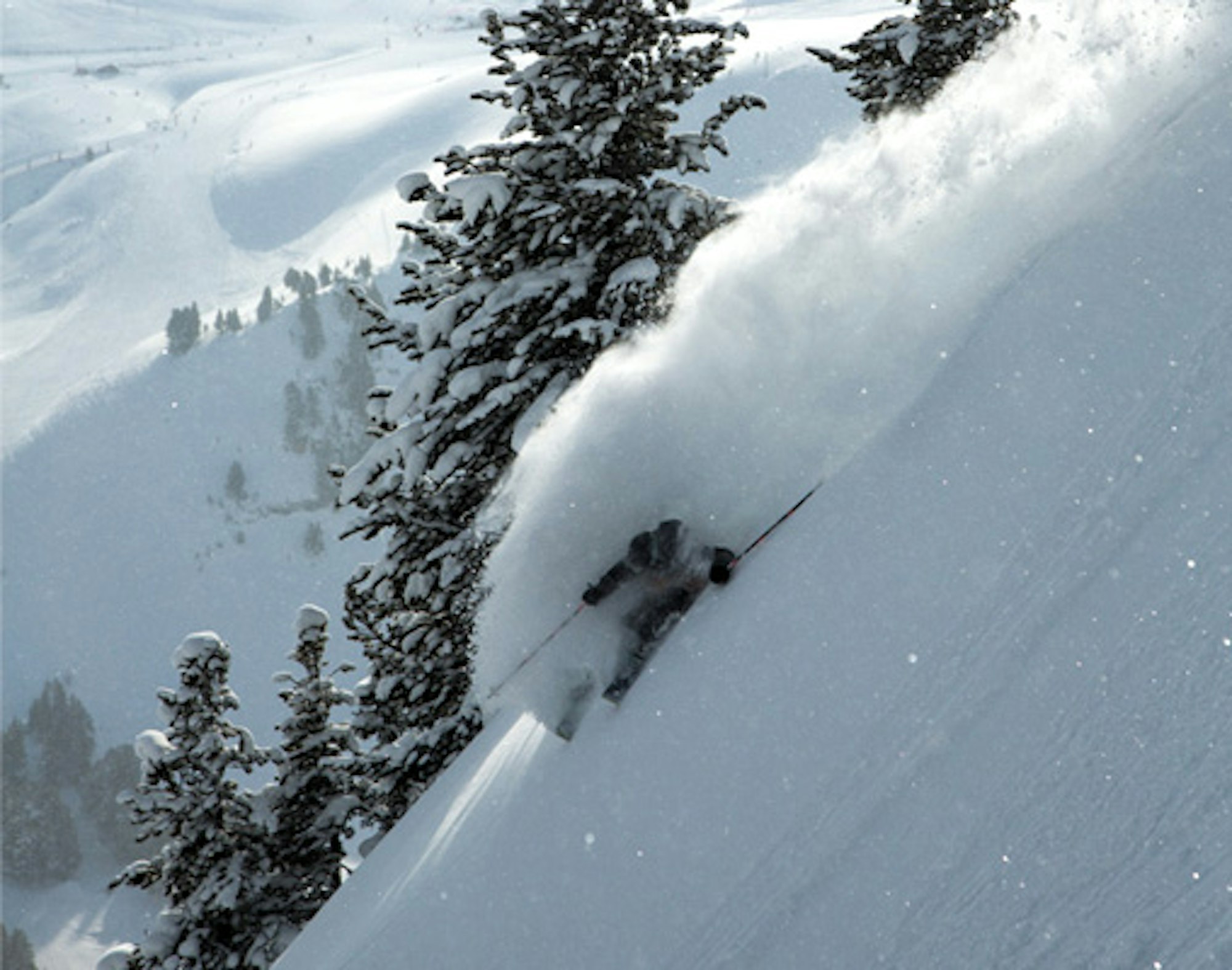 Top 10 Skis: The best powder skis of 2014