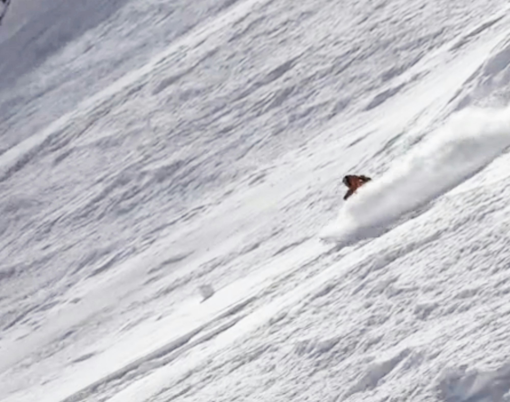 "I Miss Winter," a short edit courtesy of Nat Segal's left knee