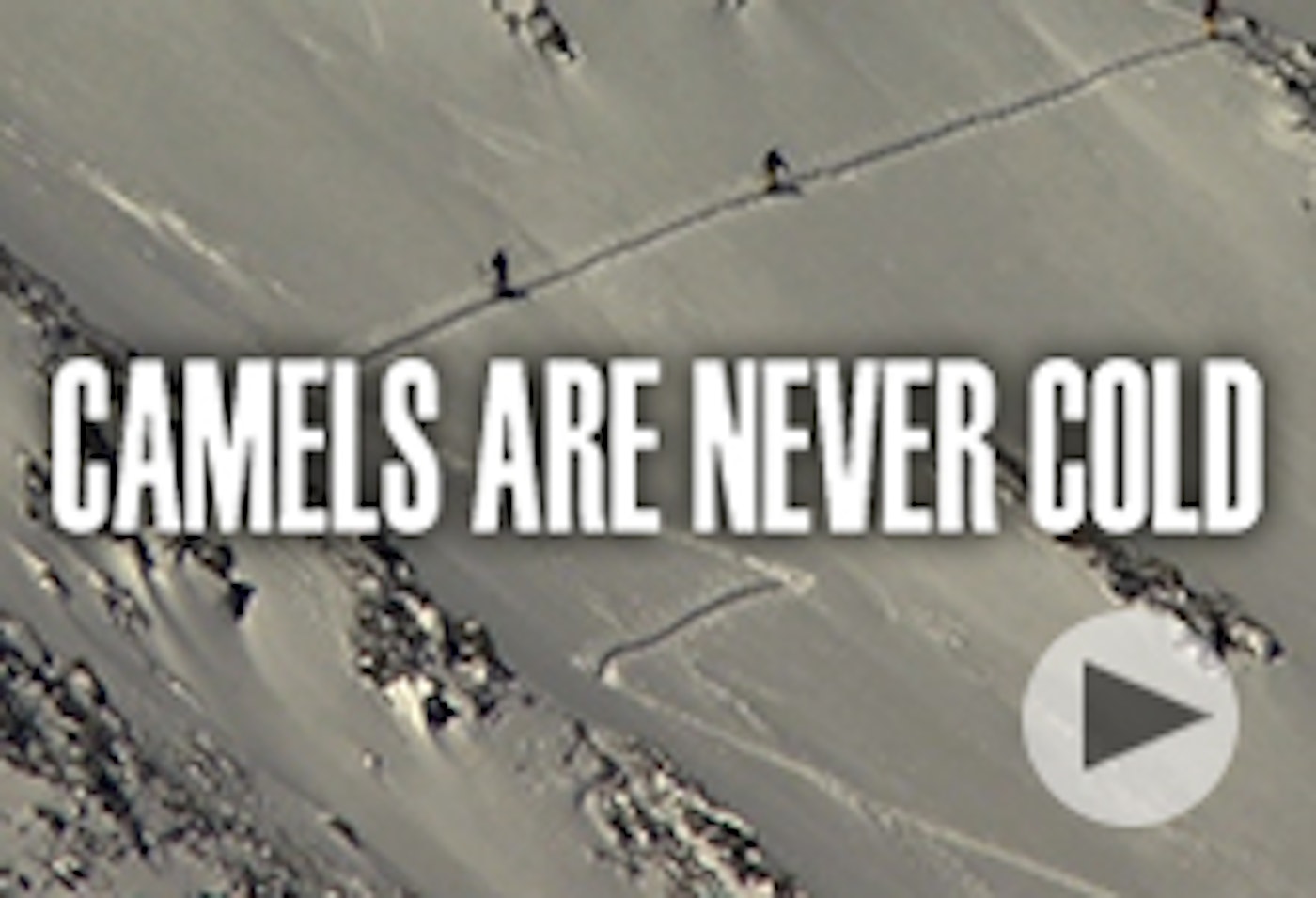 Camels Are Never Cold
