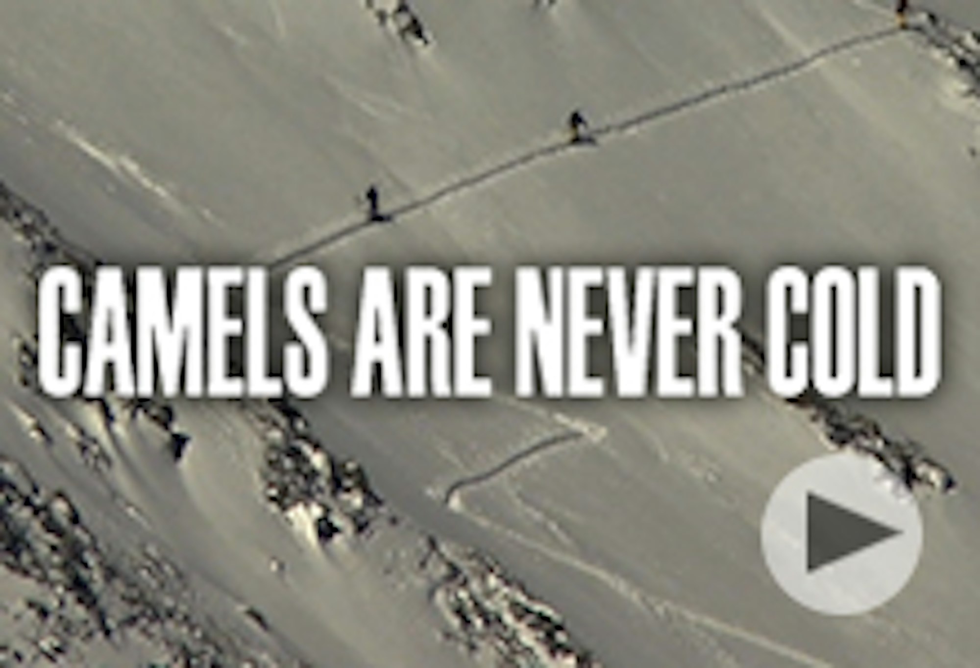 Camels Are Never Cold