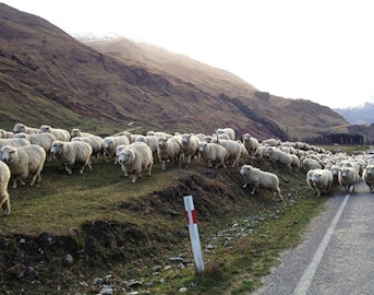 The best and worst of New Zealand, with young star Aaron Blunck