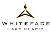 Whiteface Mountain to add new glade run for 2013/14 season