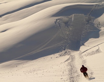 JOB presents "Satori" trailer, starring four new film crews