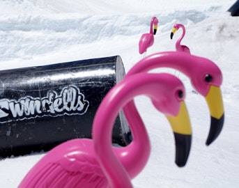 Checking In: Freeskier Week is going off at Windells Camp