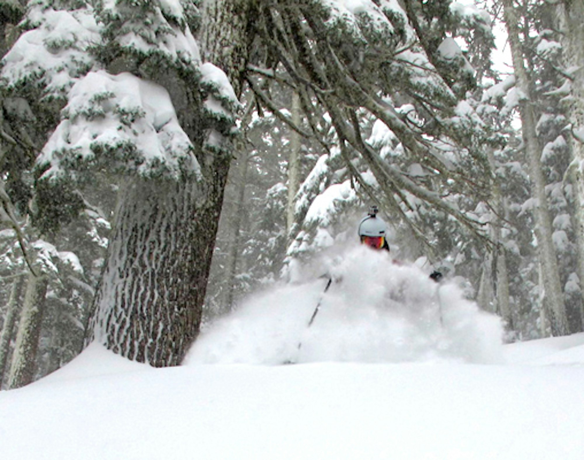 Breaking down the new Powder Alliance partnership