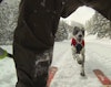 Ted Davenport and his pooch enjoy spring pow turns at Aspen