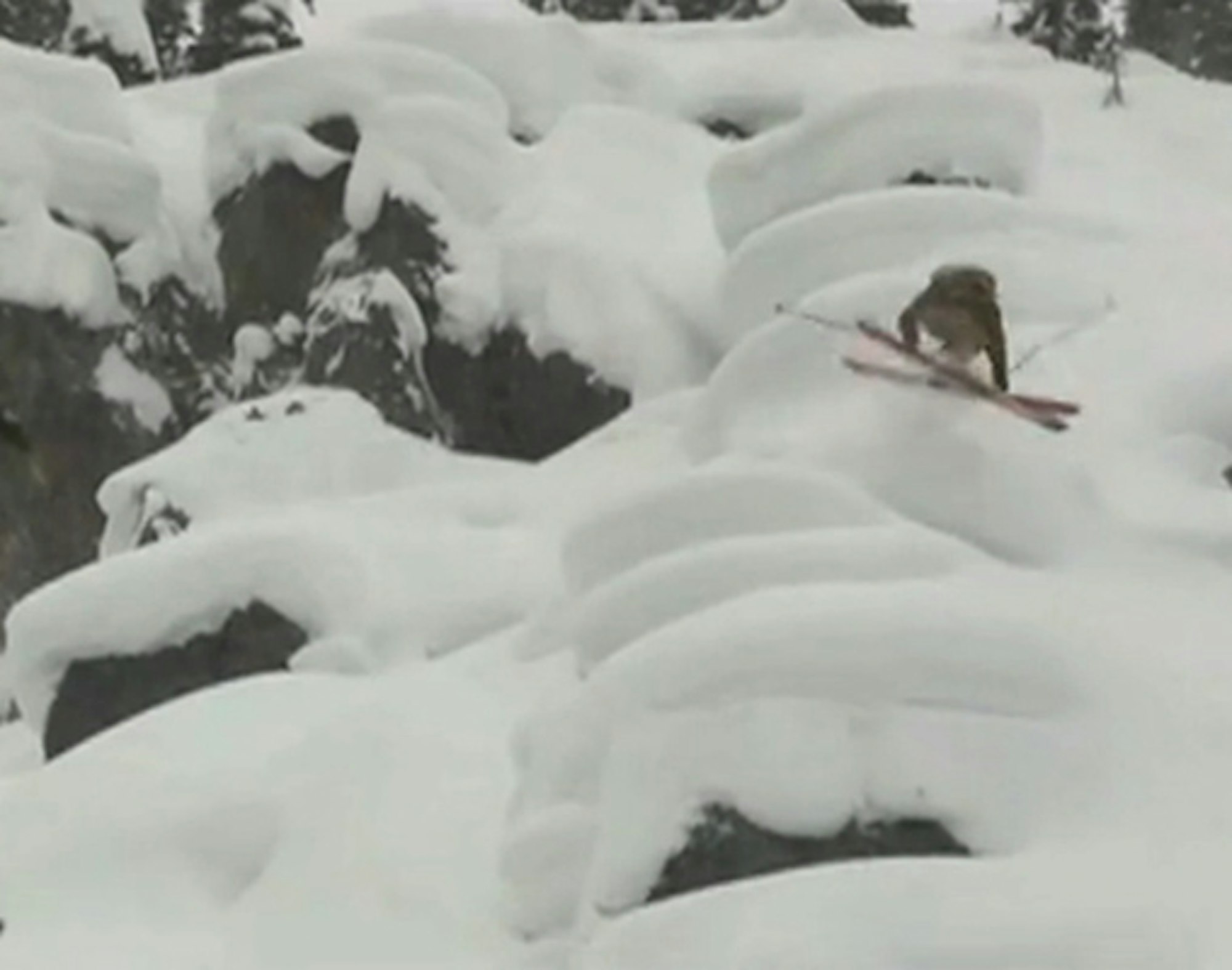 Joshman Files 4: Josh Bibby presents deep pillows, bad decisions with dirt bikes and more