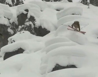 Joshman Files 4: Josh Bibby presents deep pillows, bad decisions with dirt bikes and more