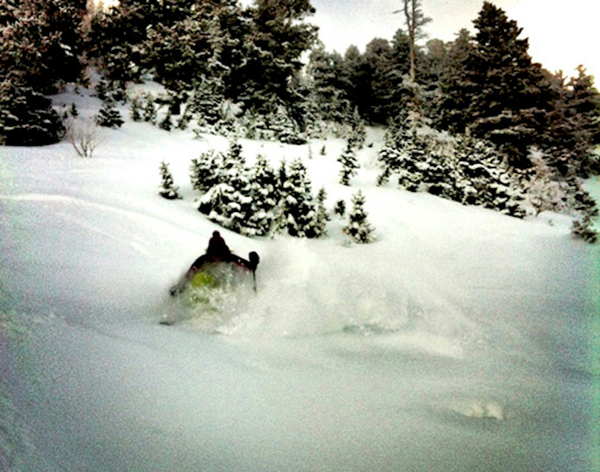 The Thrill of the Chase: From Aspen to Snowbird on a prediction