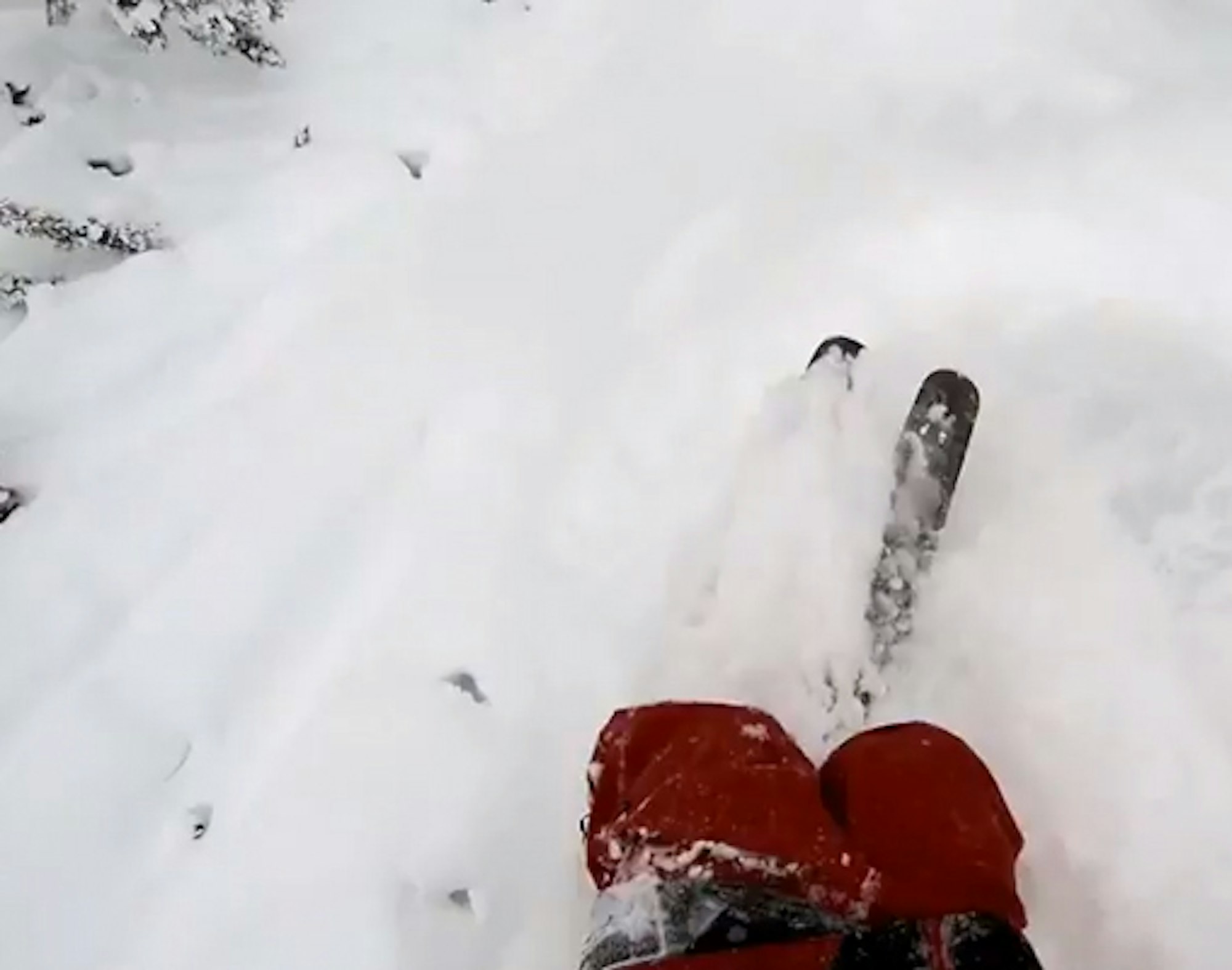 Tanner Hall "goes bananas" after shredding epic, pow-covered spine