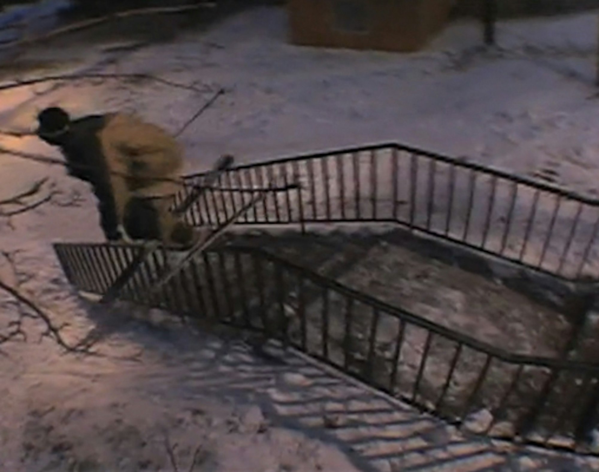 Throwback Edit: Watch Tom Wallisch's winning Level 1 Superunknown video