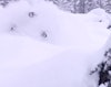 James Heim rips big lines and blower pow in British Columbia