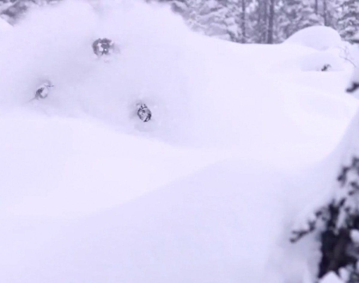 James Heim rips big lines and blower pow in British Columbia