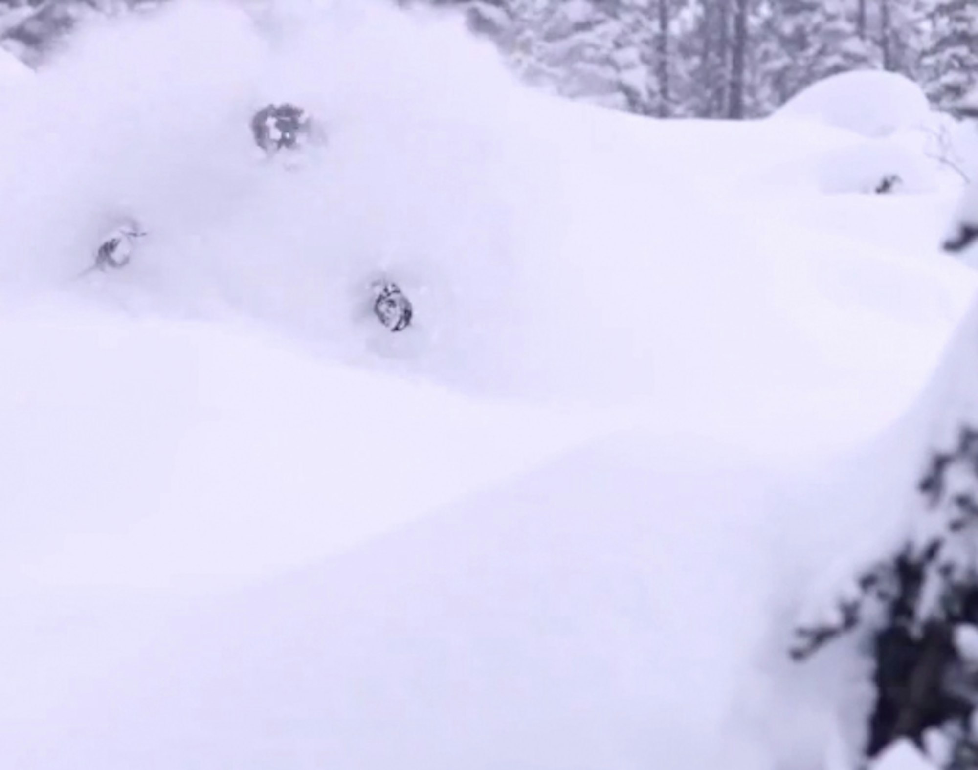 James Heim rips big lines and blower pow in British Columbia