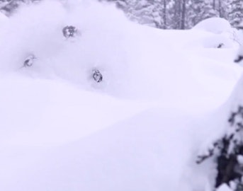 James Heim rips big lines and blower pow in British Columbia