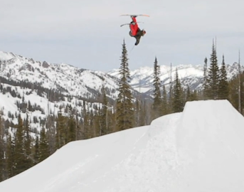 Collin Collins presents his 2012 highlight reel, "For The Birds"