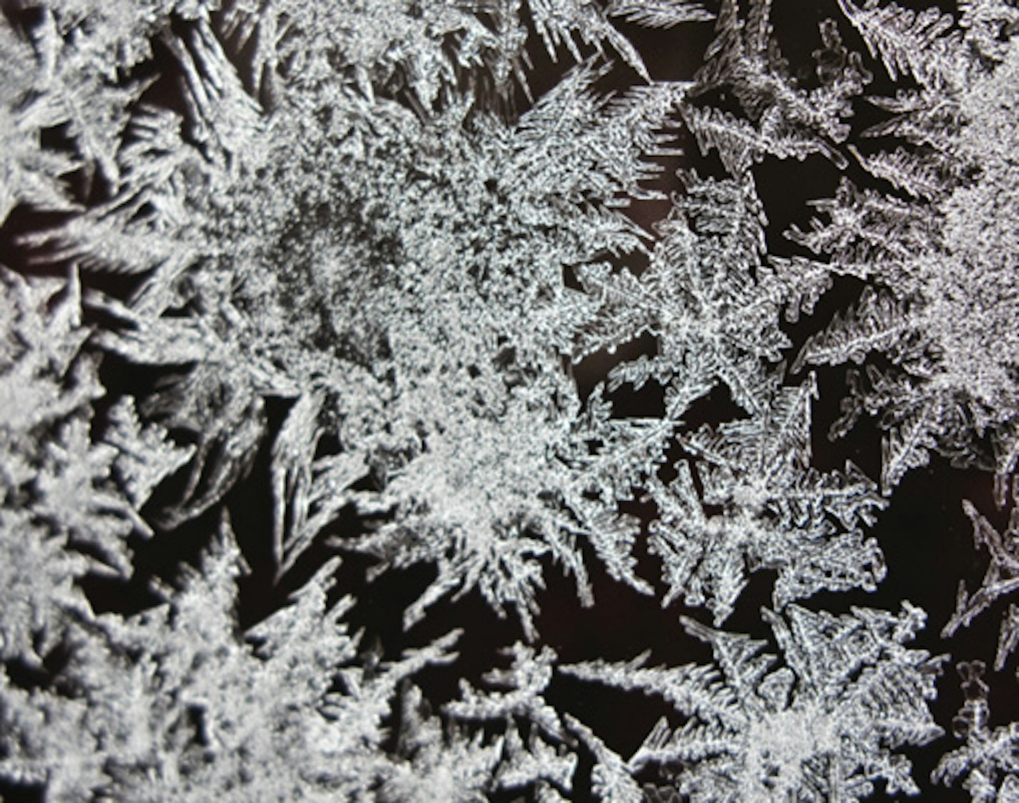 Low Tidings: A shallow snowpack is a weak snowpack