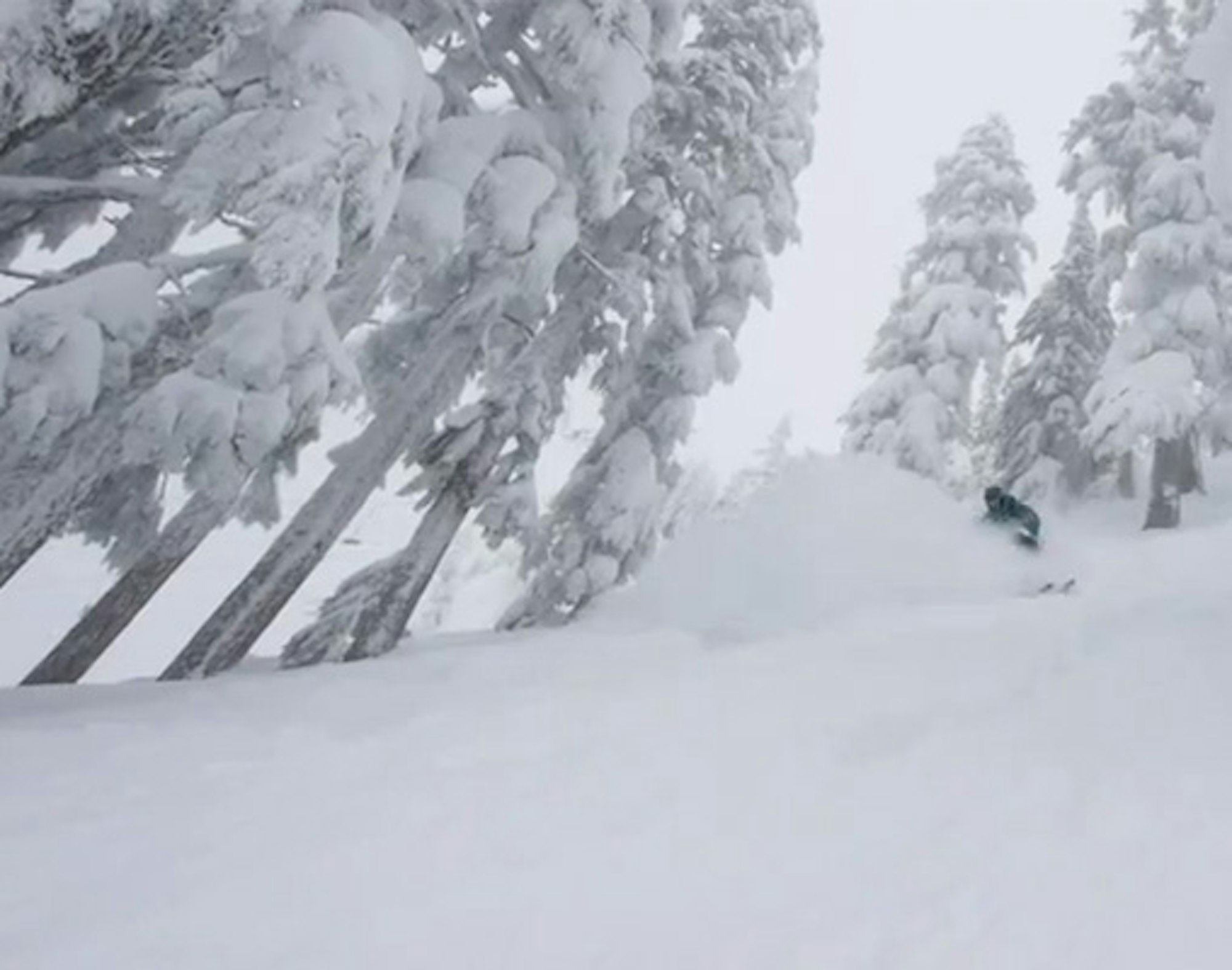 Ripping on the deepest day of the year at Stevens Pass
