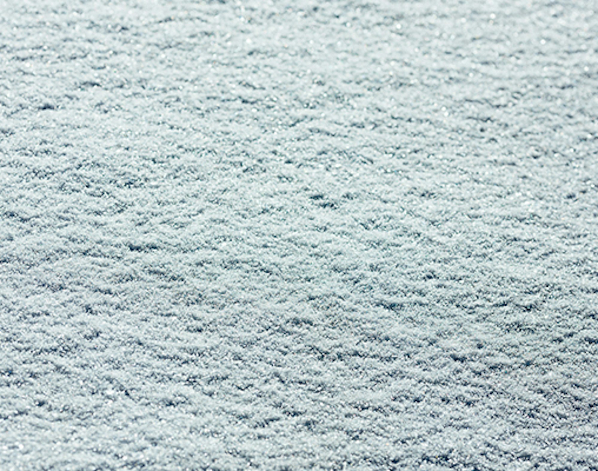 Mainstream media addresses Tunnel Creek avalanche