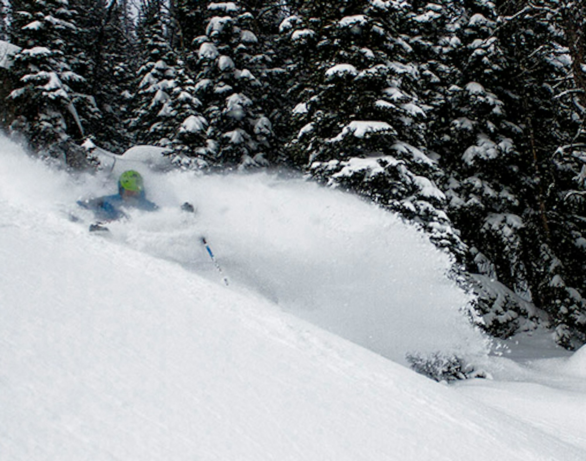 Photo Gallery: 22″ of snow blanket Jackson Hole (and counting…)