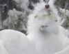 Whistler Blackcomb presents Wonder Reels Episode 4, "The Deep"