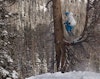 Tim Durtschi slays Smith Optics' private backcountry zone in Idaho, releases self-edit