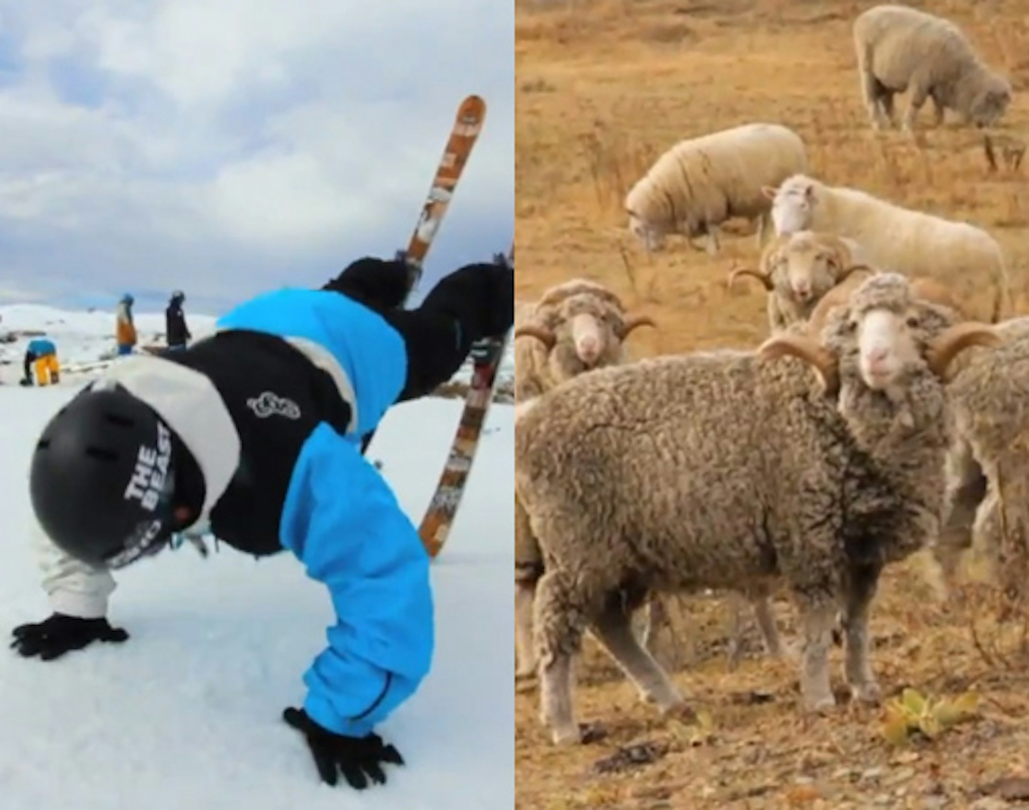 Line Traveling Circus: The gang takes on New Zealand in Ep. 5.2, Lord of the Pies