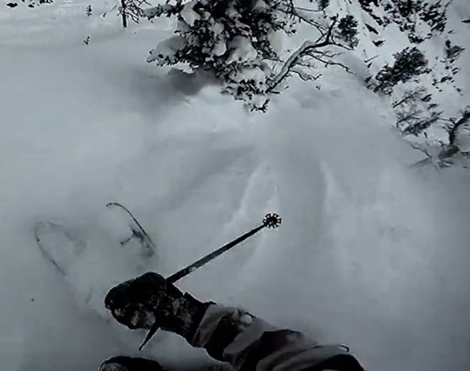 Andrew Whiteford unveils old POV clip to hype you for winter