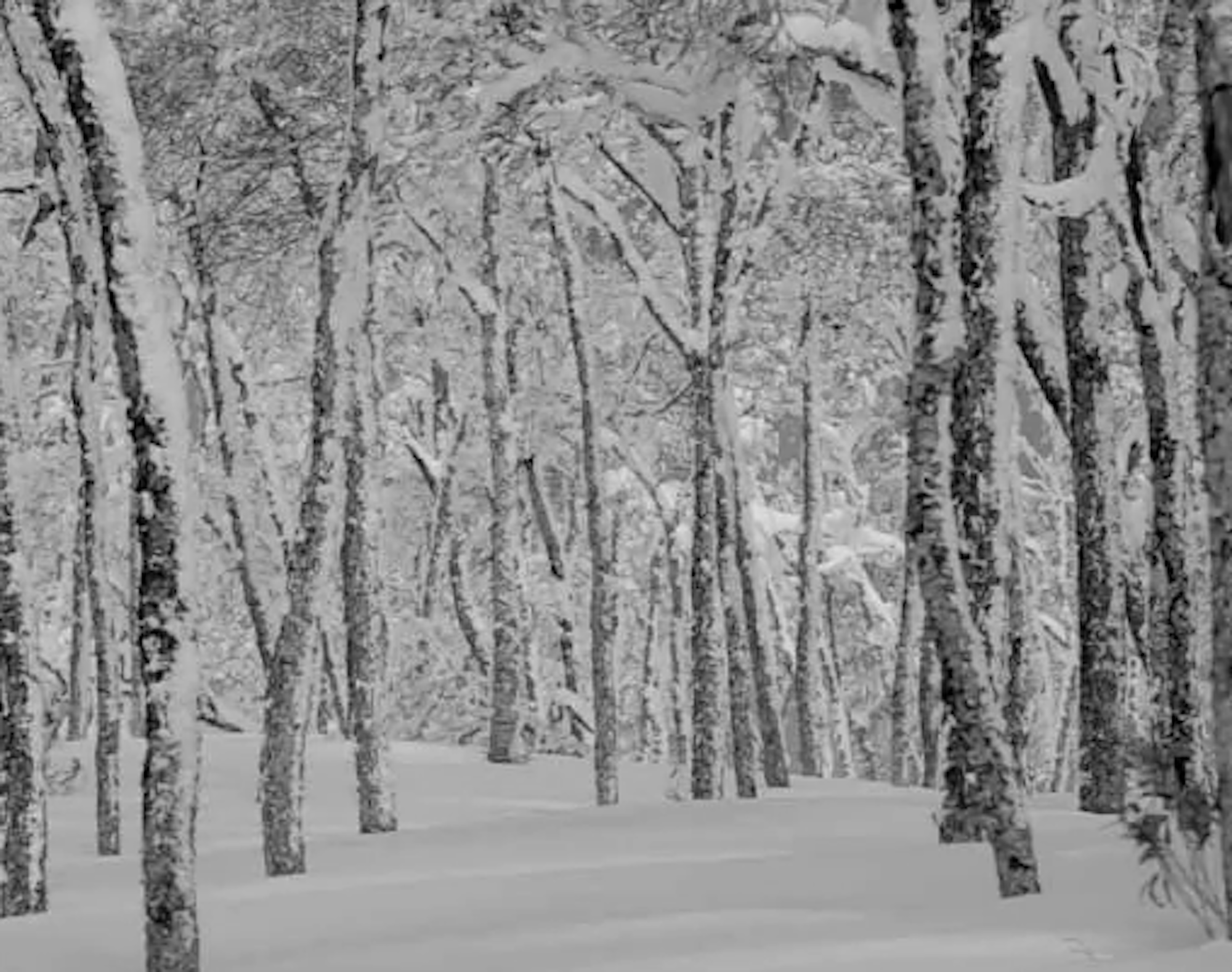 Season 3 of "A Skier's Journey" explores Japan, Dubai, Iceland