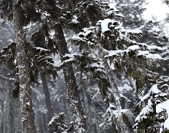 Fall turns to winter in The Wonder Reels, Ep. 1