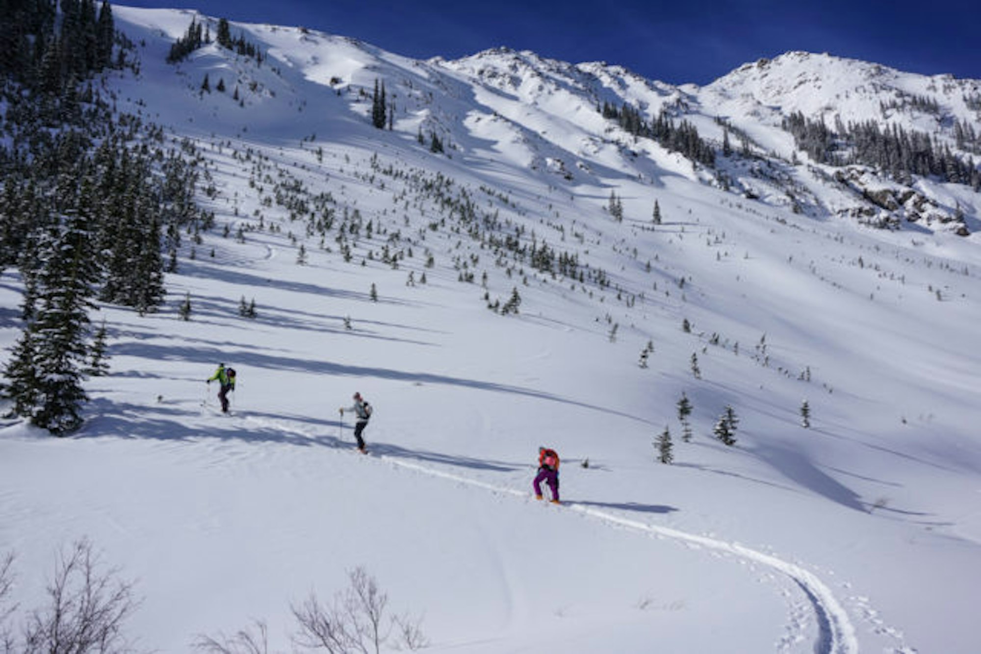 Davenport and Lynsey Dyer skinning in Silverton Colorado
