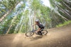 5 Cheapest Bike Parks to Hit This Summer