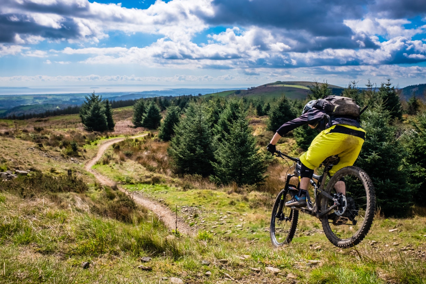 A mountain biker descends a single track trail into trees